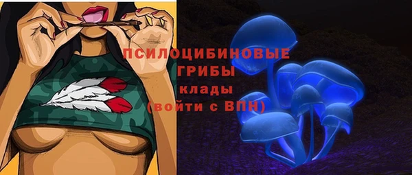 дживик Мегион