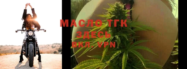 дживик Мегион