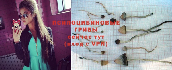 дживик Мегион