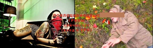 дживик Мегион