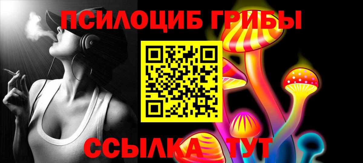 Галлюциногенные грибы Cubensis  Железногорск 