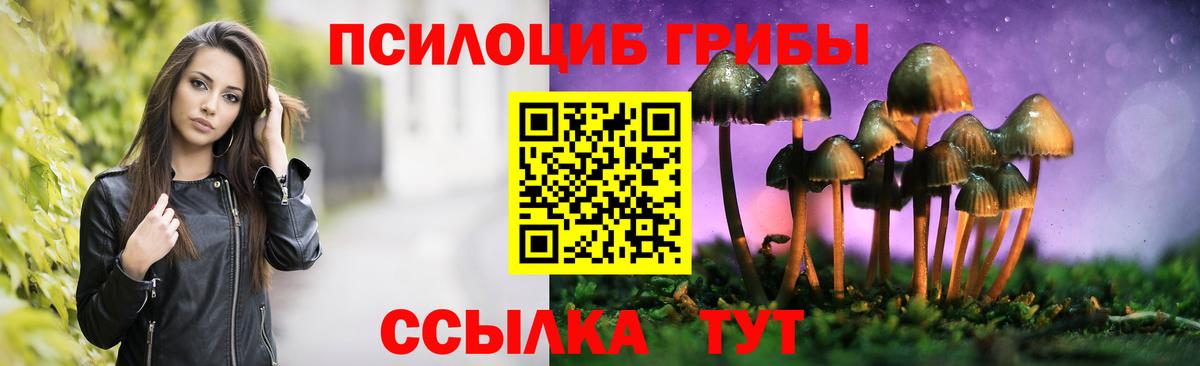 Железногорск  Псилоцибиновые грибы ЛСД  Псилоцибиновые грибы Psilocybine cubensis  Вход с VPN 